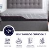 Bridgevine Home 11 inch Queen Size 3-Layer Talalay Latex Foam Adult Mattress