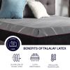 Bridgevine Home 11 inch Queen Size 3-Layer Talalay Latex Foam Adult Mattress